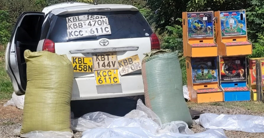 Warning: Machakos County Launches Crackdown on Bhang Dealers